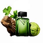 Prada Paradigme Eau de Parfum