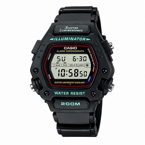 CASIO DW-290-1VS