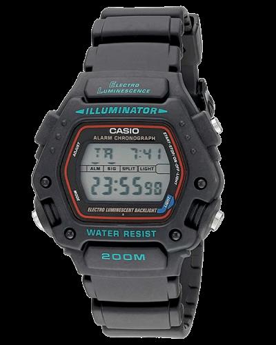 CASIO DW-290-1VS