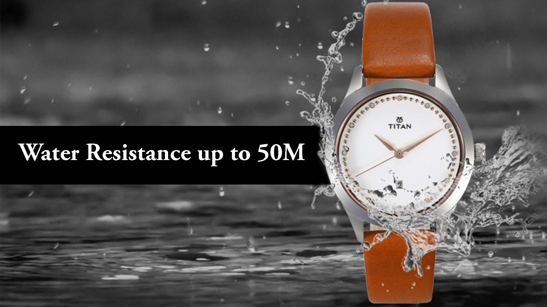 TITAN 2570SL02 Watch | women's watch | wrist watch | watch for gift | watch | ladies watch | girls watch | latest watch | latest girls watch