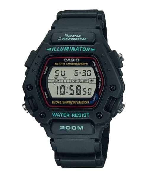 CASIO DW-290-1VS