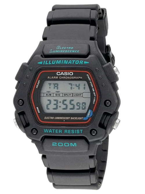 CASIO DW-290-1VS