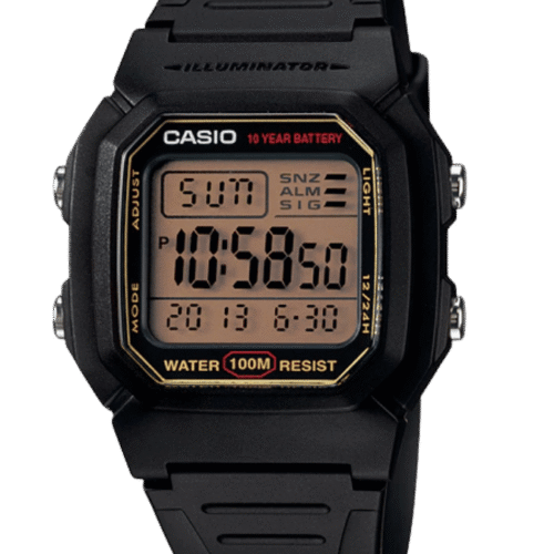 CASIO W-800HG-9AVDF